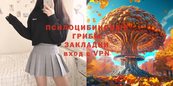 не бодяженный Алзамай