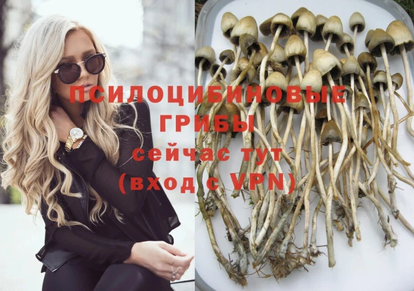 не бодяженный Алзамай