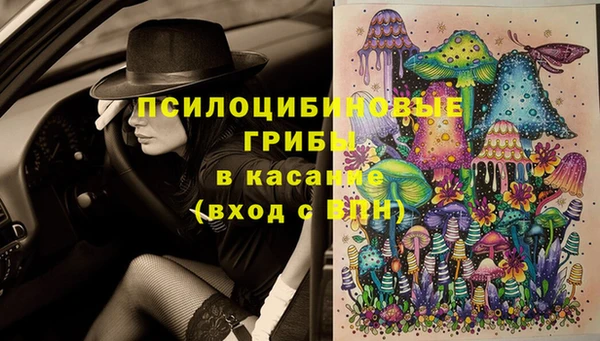 не бодяженный Алзамай