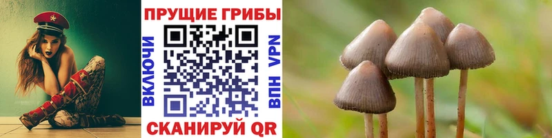 Галлюциногенные грибы GOLDEN TEACHER  что такое   Боготол 